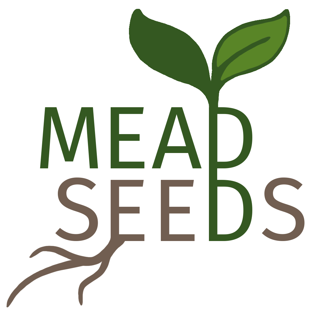 Mead Seeds logo with decorative leaf and root illustrations